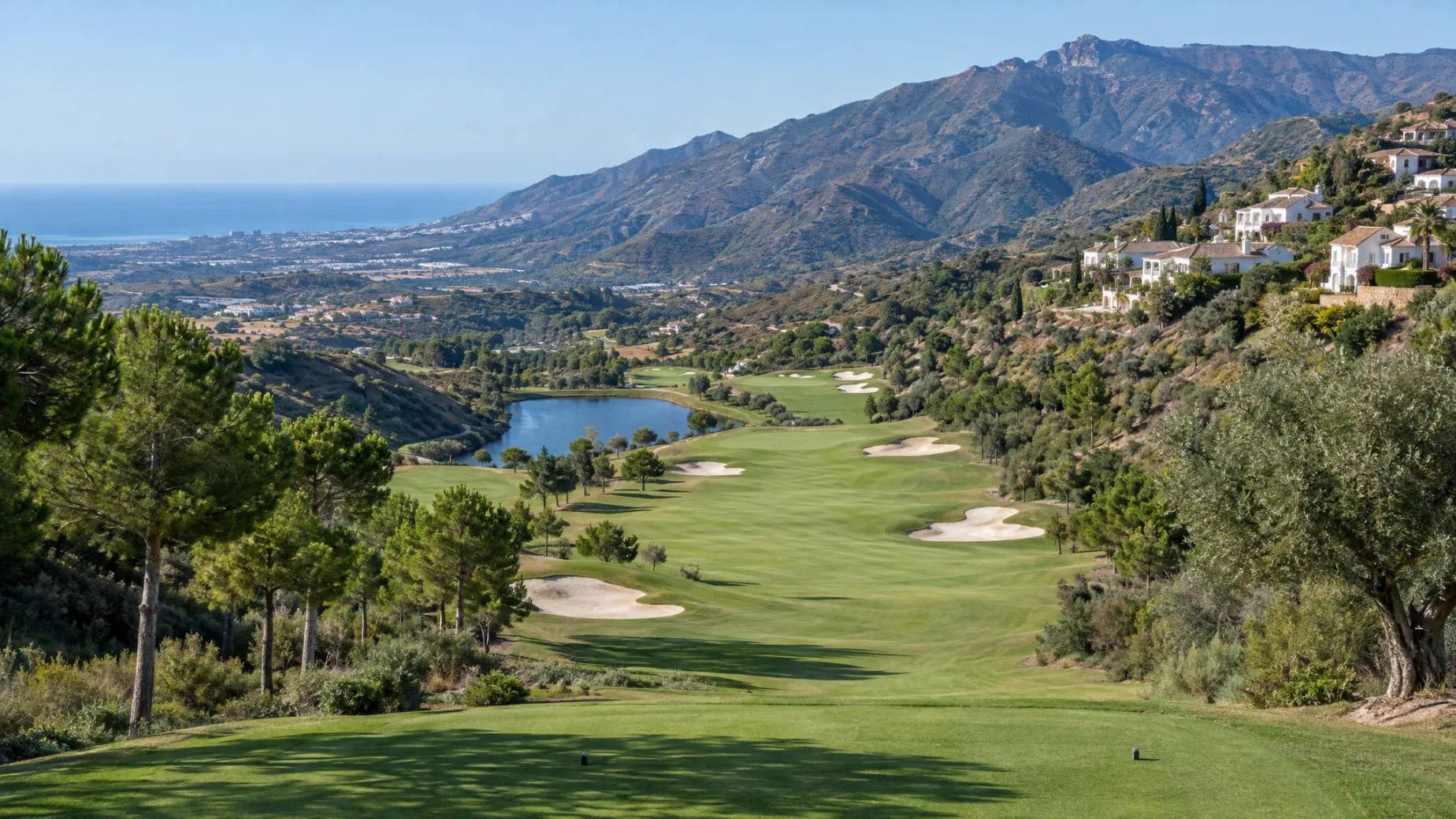 The Longest Card on the Coast: Properties for Sale at Alferini Golf