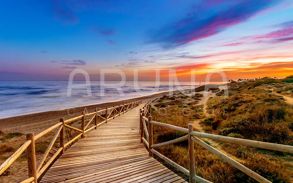 Aruna - Image 6