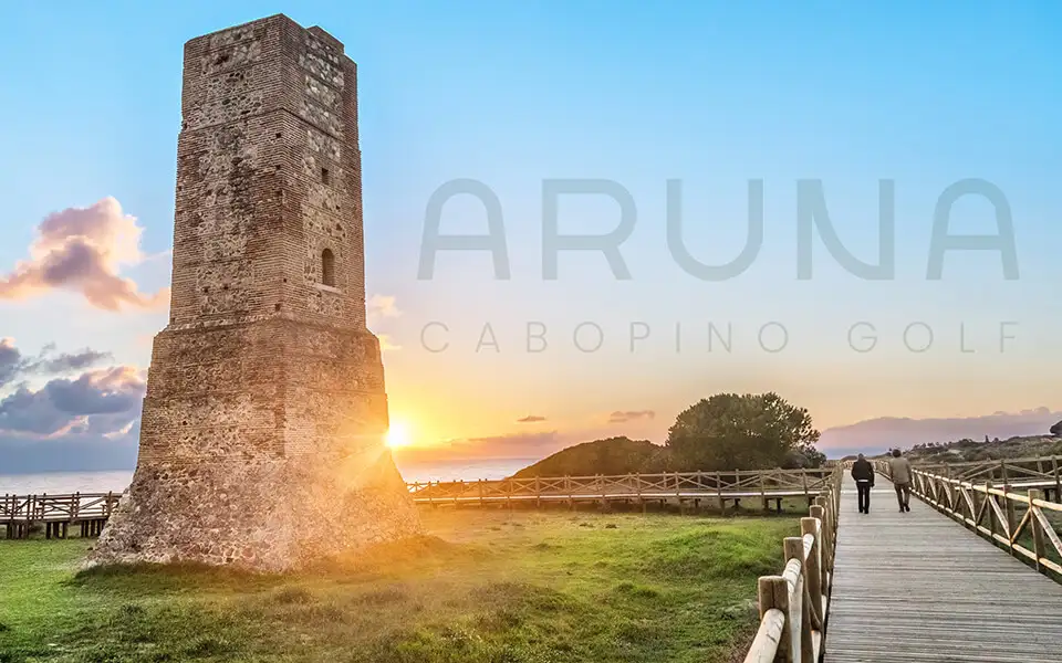 Aruna - Image 7