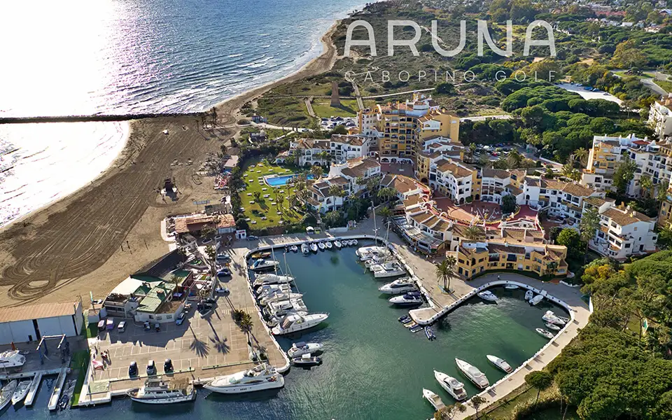 Aruna - Image 8