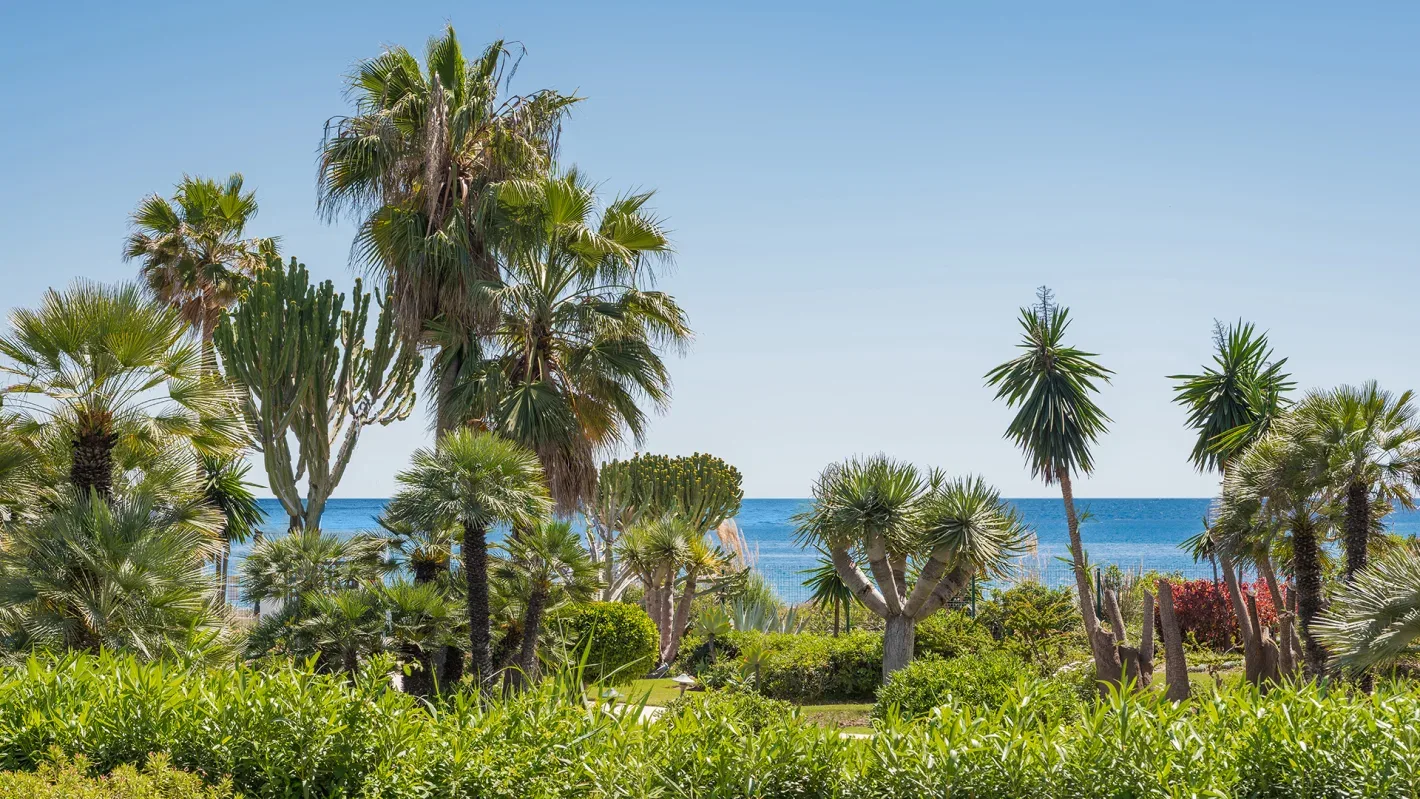 Costalita Beachfront Apartment - Image 1
