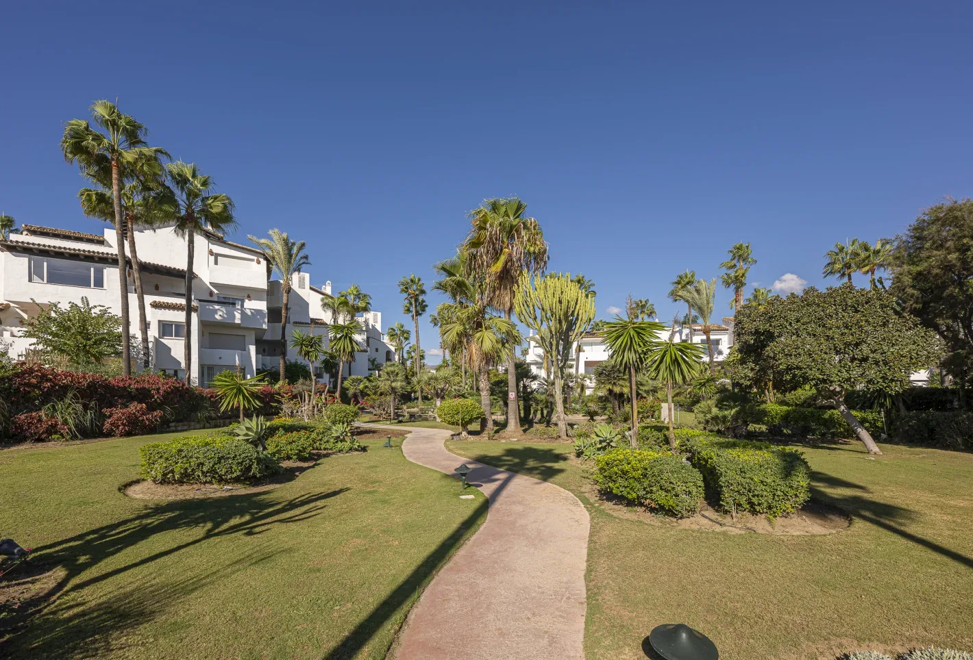 Costalita Beachfront Apartment - Image 39