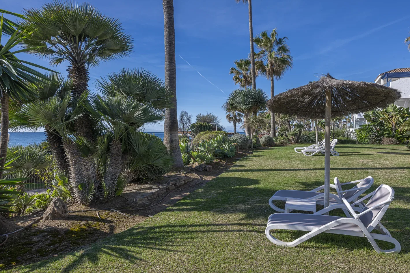 Costalita del Mar Apartment - Image 16