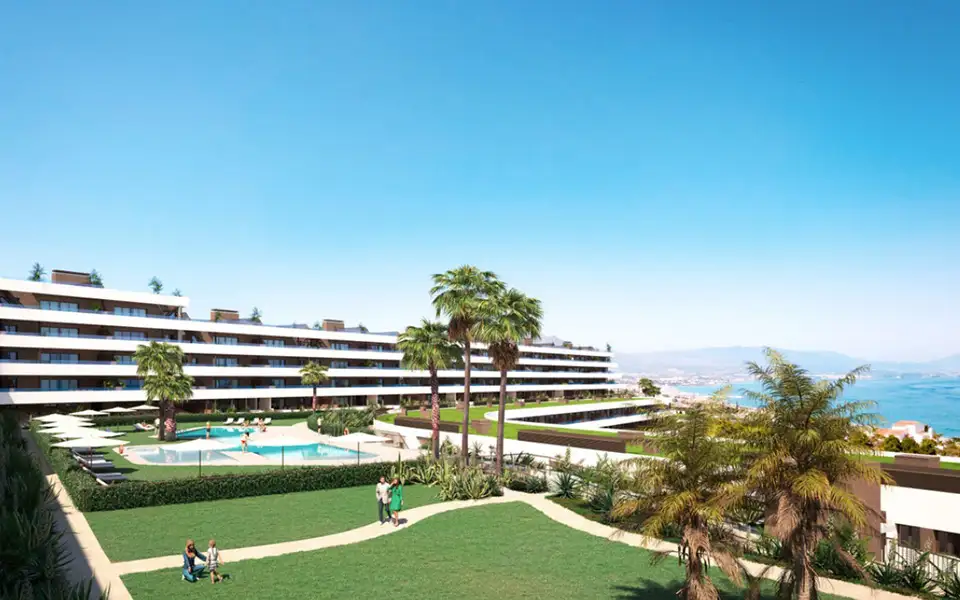 Morasol - Image 7