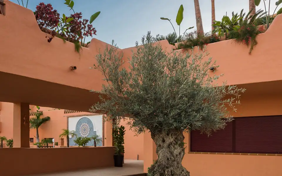Royal Marbella Golf Resort - Image 66